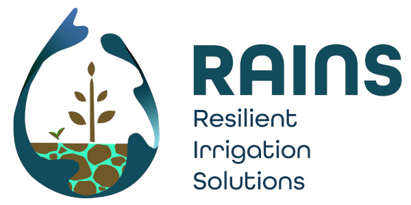 Rains logo