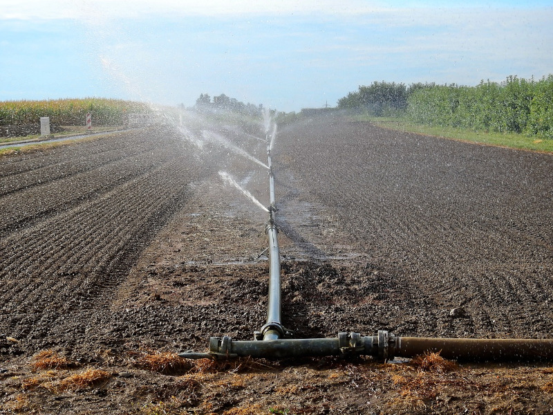 Rains project